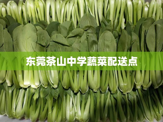 东莞茶山中学蔬菜配送点