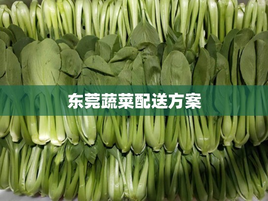东莞蔬菜配送方案