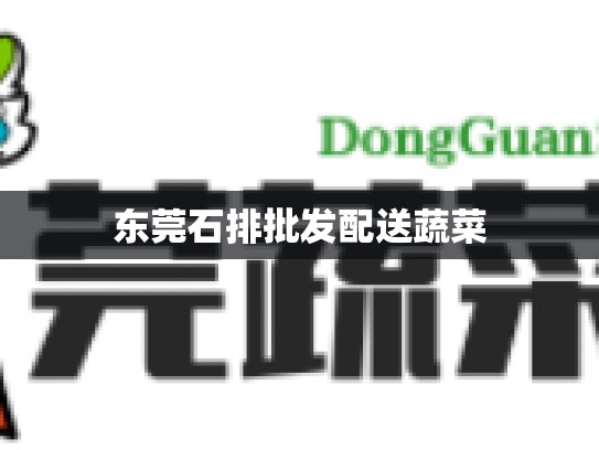 东莞石排批发配送蔬菜