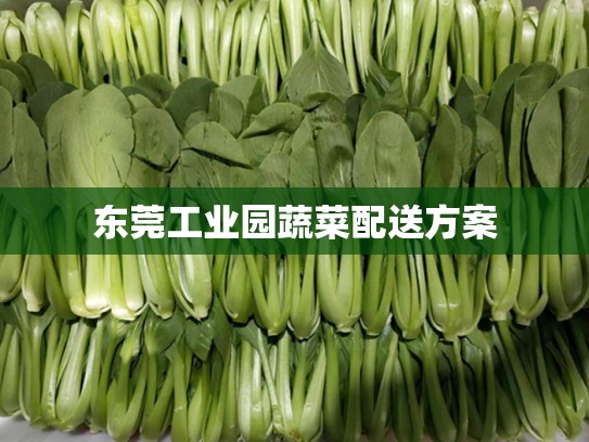 东莞工业园蔬菜配送方案