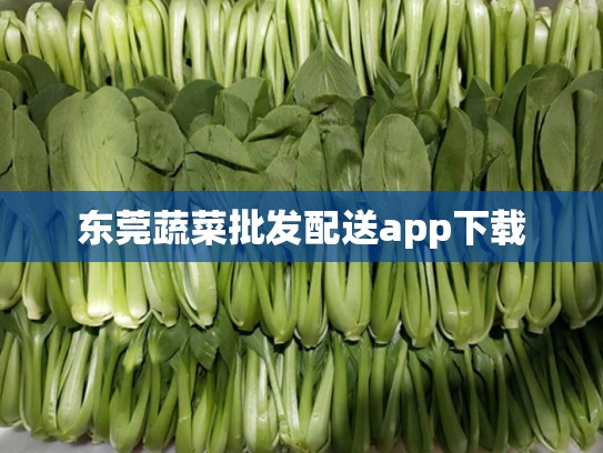 东莞蔬菜批发配送app下载