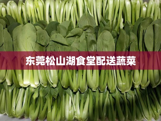 东莞松山湖食堂配送蔬菜