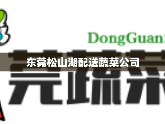 东莞松山湖配送蔬菜公司