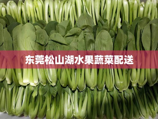 东莞松山湖水果蔬菜配送
