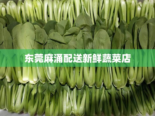东莞麻涌配送新鲜蔬菜店
