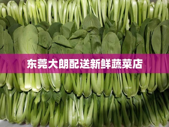 东莞大朗配送新鲜蔬菜店
