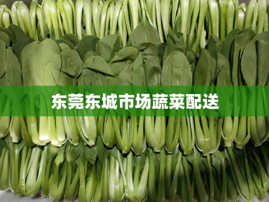 东莞东城市场蔬菜配送