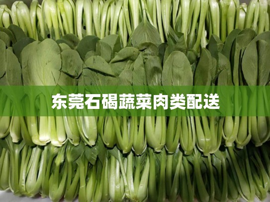 东莞石碣蔬菜肉类配送