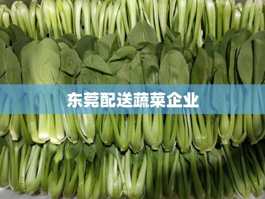 东莞配送蔬菜企业