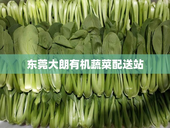 东莞大朗有机蔬菜配送站