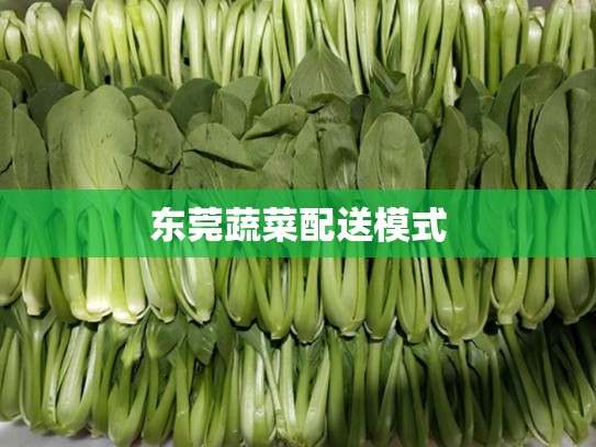 东莞蔬菜配送模式