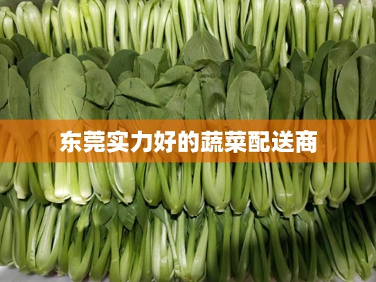 东莞实力好的蔬菜配送商
