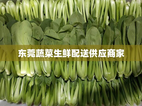 东莞蔬菜生鲜配送供应商家