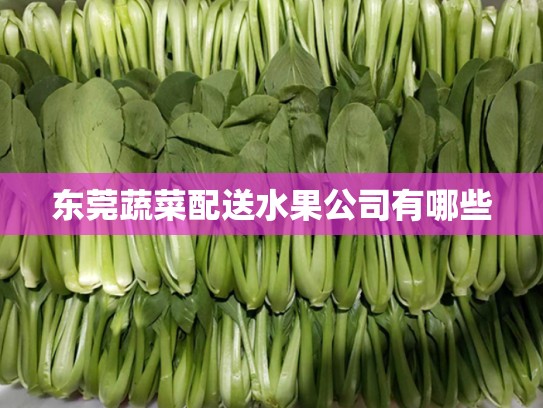 东莞蔬菜配送水果公司有哪些