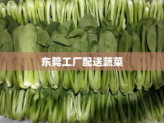 东莞工厂配送蔬菜