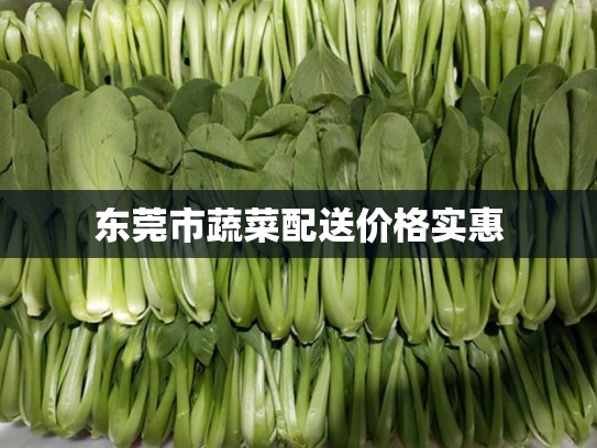 东莞市蔬菜配送价格实惠