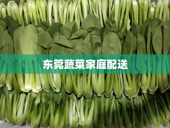 东莞蔬菜家庭配送
