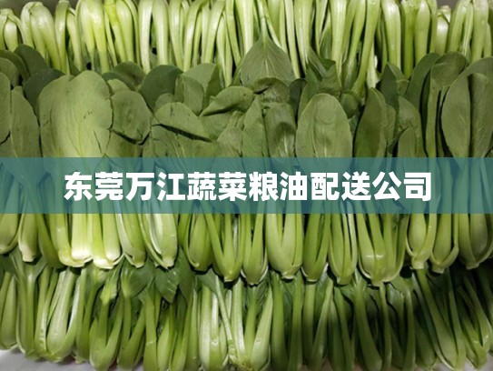 东莞万江蔬菜粮油配送公司