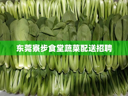 东莞寮步食堂蔬菜配送招聘