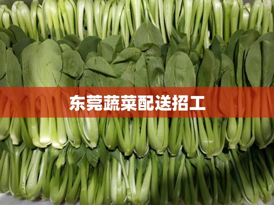东莞蔬菜配送招工