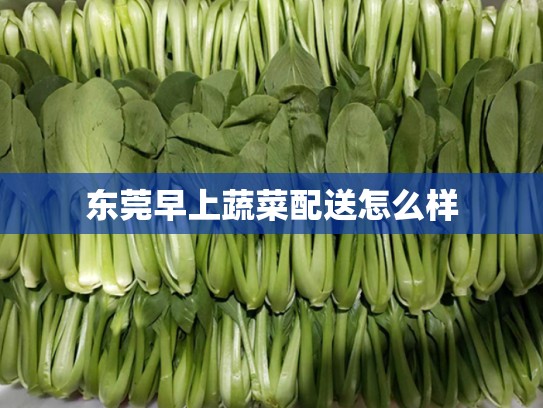 东莞早上蔬菜配送怎么样