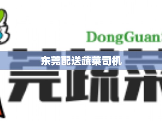东莞配送蔬菜司机