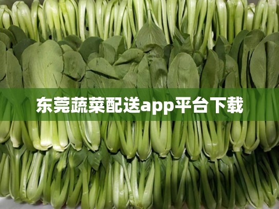 东莞蔬菜配送app平台下载