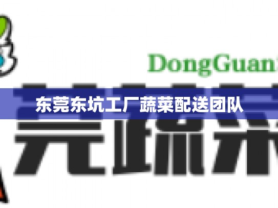 东莞东坑工厂蔬菜配送团队