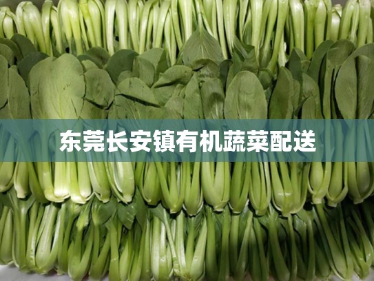 东莞长安镇有机蔬菜配送