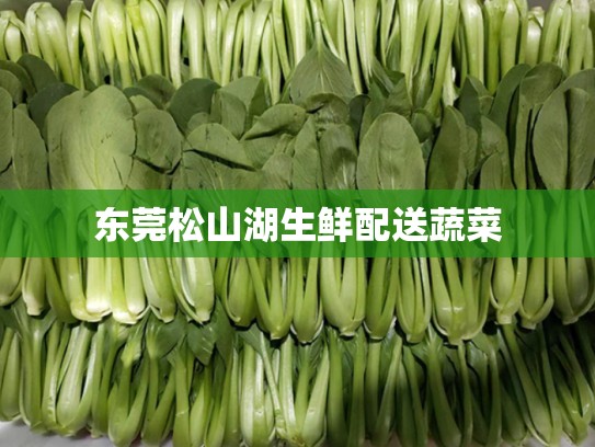 东莞松山湖生鲜配送蔬菜