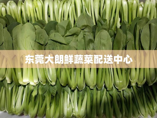 东莞大朗鲜蔬菜配送中心