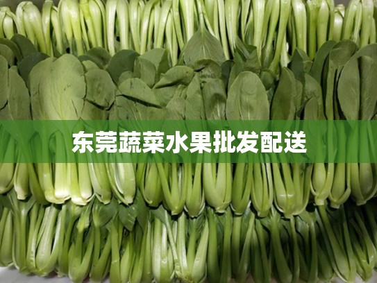 东莞蔬菜水果批发配送