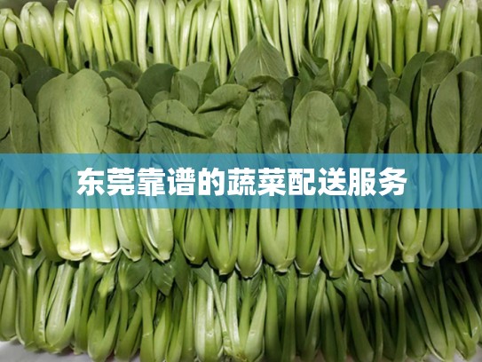 东莞靠谱的蔬菜配送服务