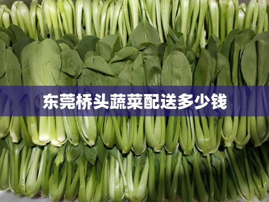 东莞桥头蔬菜配送多少钱