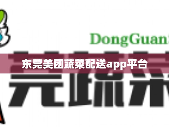 东莞美团蔬菜配送app平台