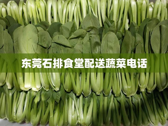 东莞石排食堂配送蔬菜电话