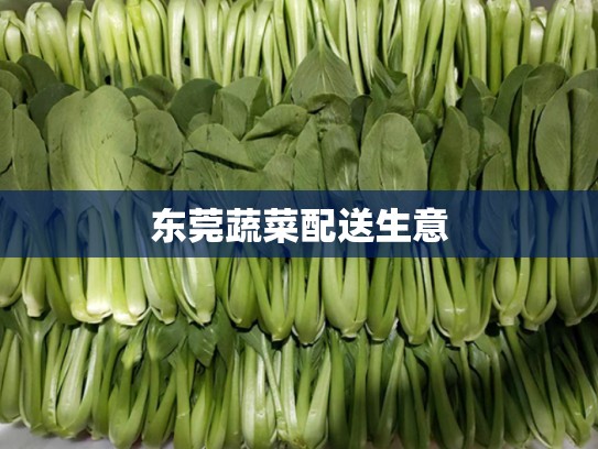 东莞蔬菜配送生意