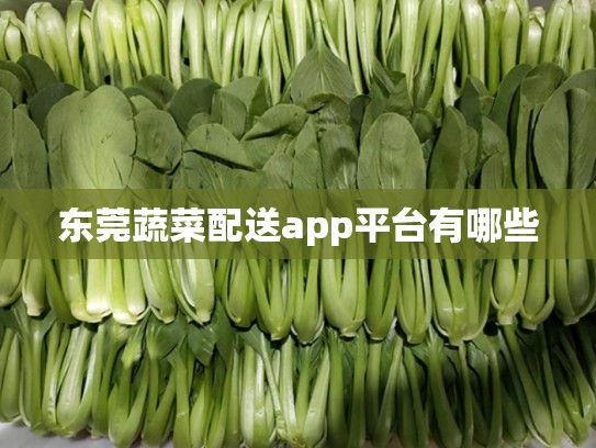 东莞蔬菜配送app平台有哪些