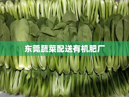 东莞蔬菜配送有机肥厂