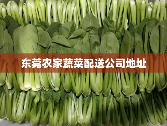 东莞农家蔬菜配送公司地址