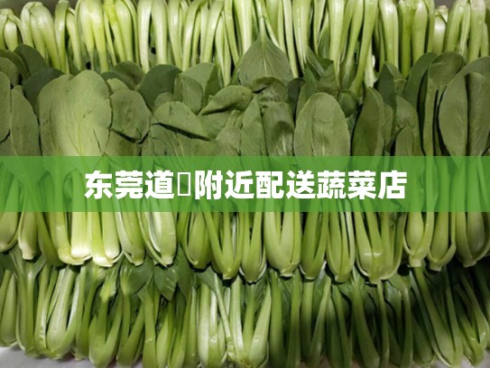 东莞道滘附近配送蔬菜店