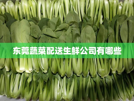 东莞蔬菜配送生鲜公司有哪些