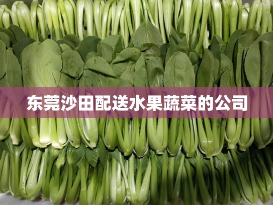 东莞沙田配送水果蔬菜的公司