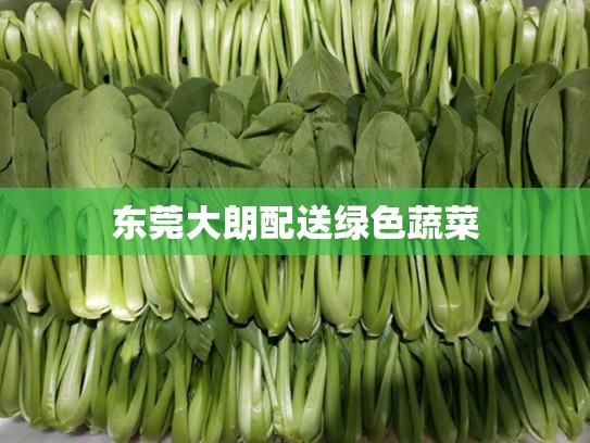 东莞大朗配送绿色蔬菜