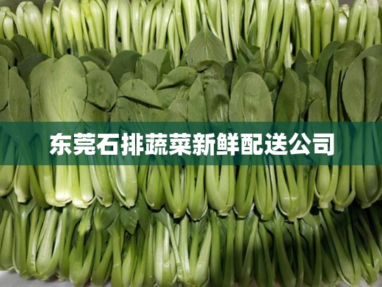 东莞石排蔬菜新鲜配送公司