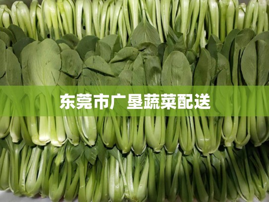东莞市广垦蔬菜配送
