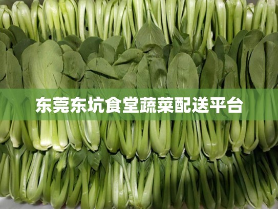 东莞东坑食堂蔬菜配送平台
