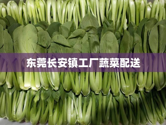 东莞长安镇工厂蔬菜配送