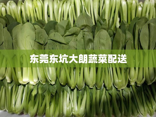 东莞东坑大朗蔬菜配送