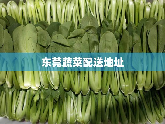东莞蔬菜配送地址